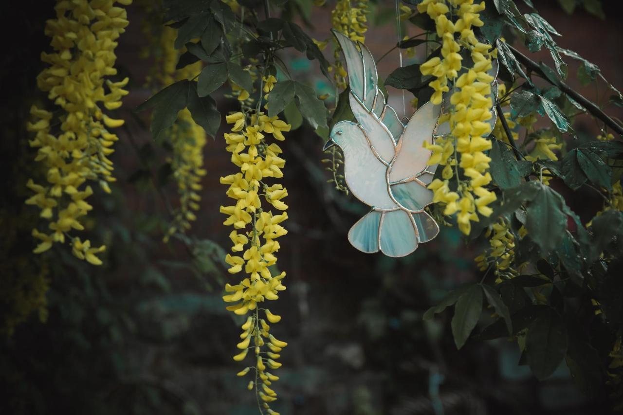 Sacred Garden Retreat Appartamento Glastonbury Camera foto